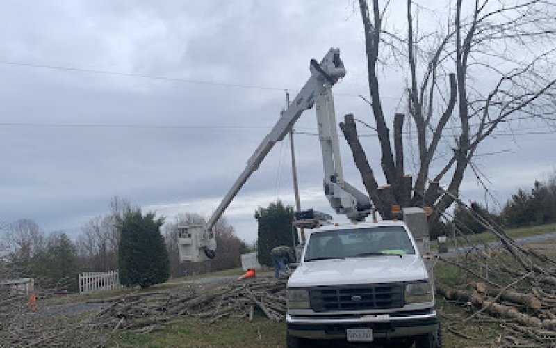 Four Seasons Tree & Landscaping Services