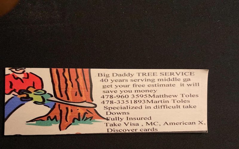 Big Daddy S Tree Service