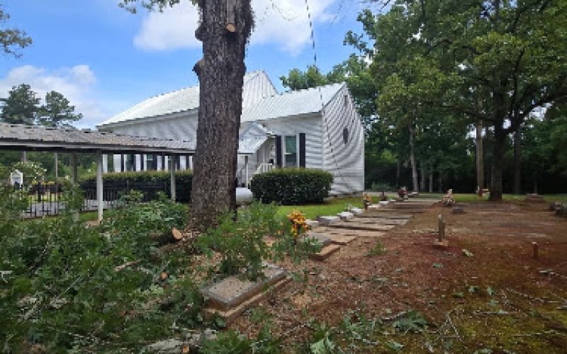 D&M Tree and Land Services, LLC