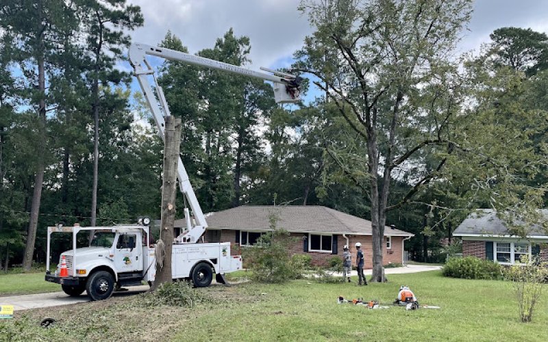 Keene Tree Service