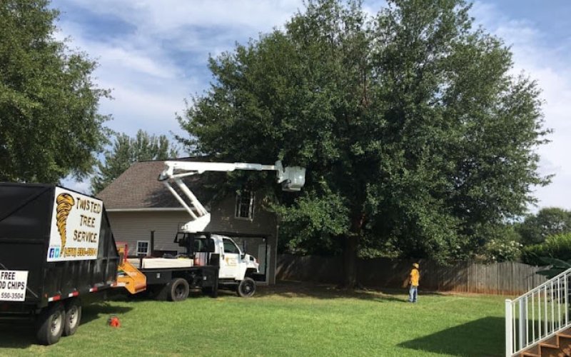 Twisted Tree Service