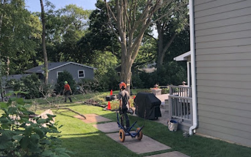 Heartwood Tree Company, LLC — Tree service in Madison