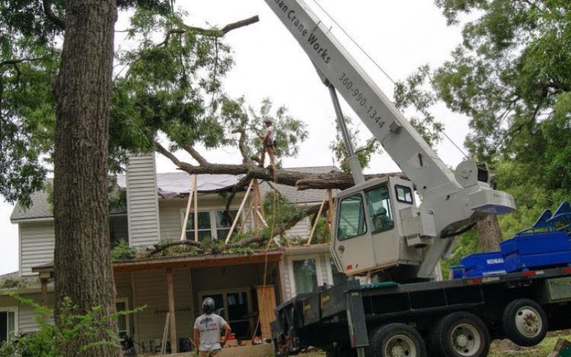 3 Alarm Tree Rescue — Tree service in Mckinney
