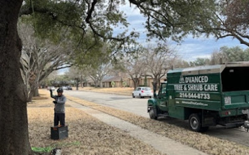 Advanced Tree & Shrub Care, Inc — Tree service in Mckinney