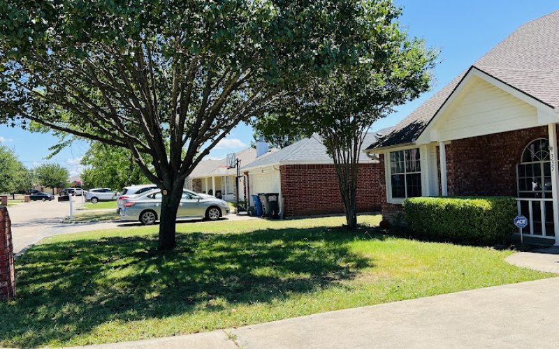 Tree MD's Tree Service LLC — Tree service in Mckinney