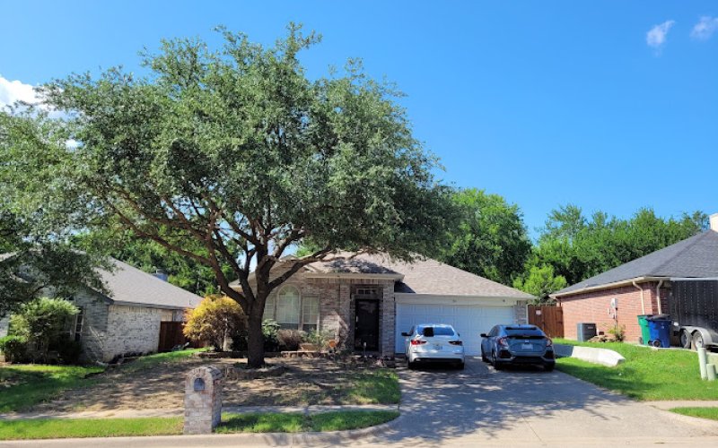 Tree Service Pros of McKinney — Tree service in Mckinney