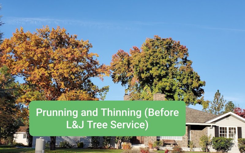 L&J tree service LLC