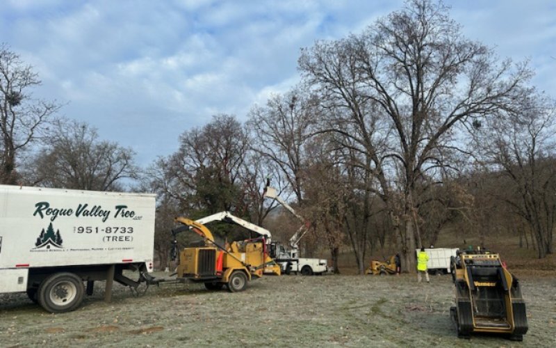 Rogue Valley Tree Care