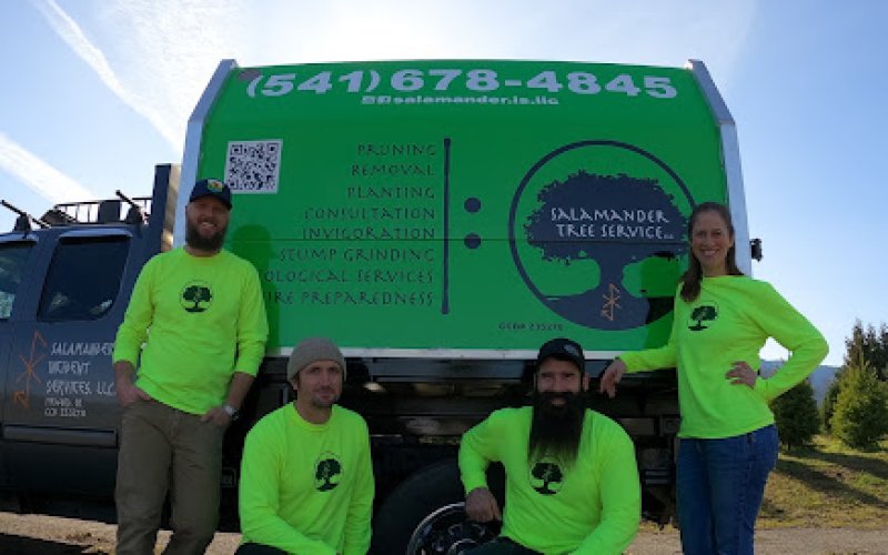 Salamander Tree Service, LLC
