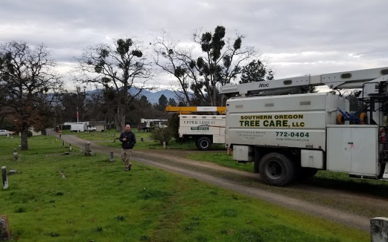 Southern Oregon Tree Care LLC