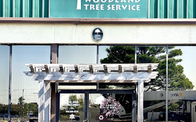 Woodland Tree Service — Tree service in Memphis