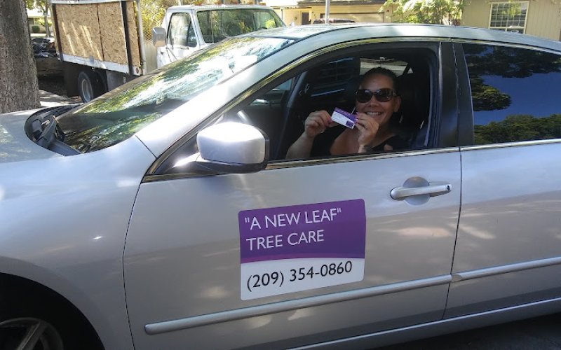 A New Leaf Tree Care