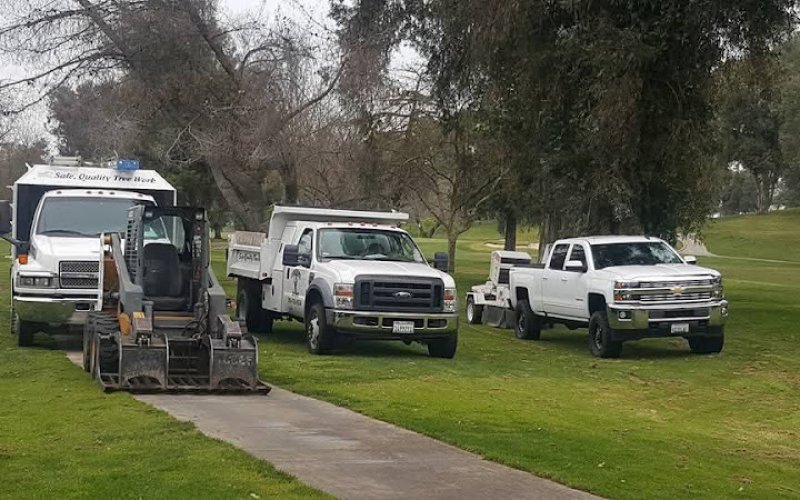 Anderson Tree Service