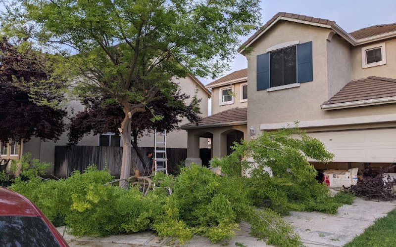 Garden Pro Landscape, Tree Service & Handyman Services