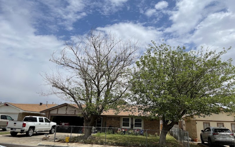 American Tree Care