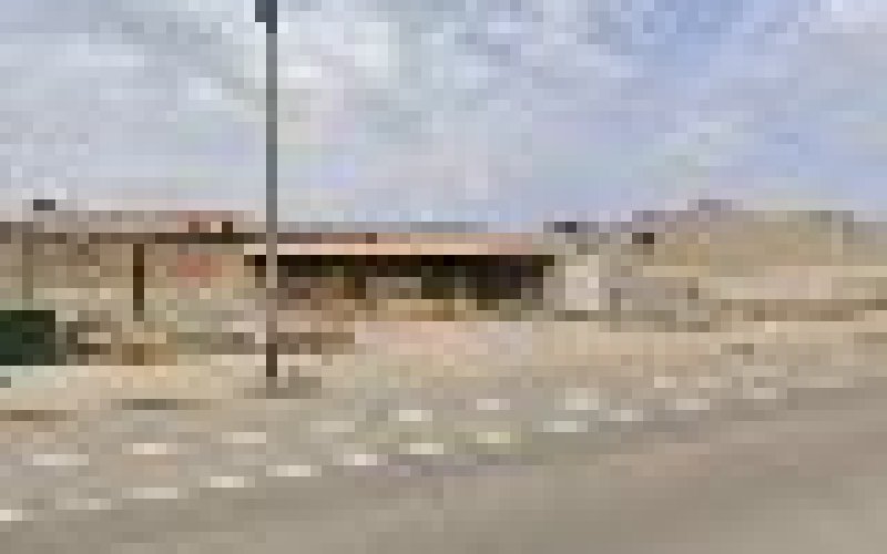 Arbor Tree Care