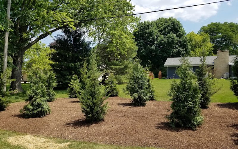 Crawford Tree & Landscape Services, Inc.