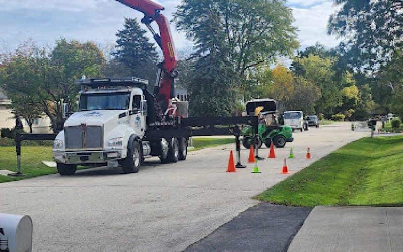 Forester Tree Service