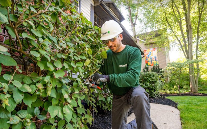 The Davey Tree Expert Company
