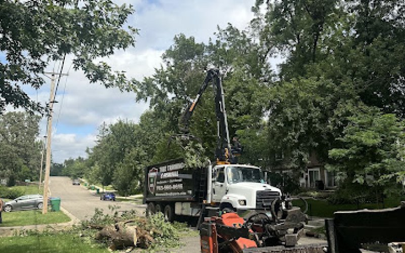 Minnesota Tree Experts
