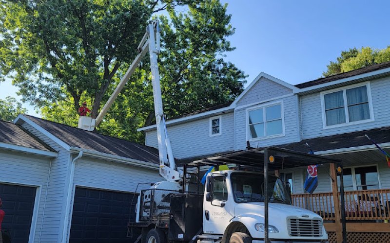 Vineland Tree Care