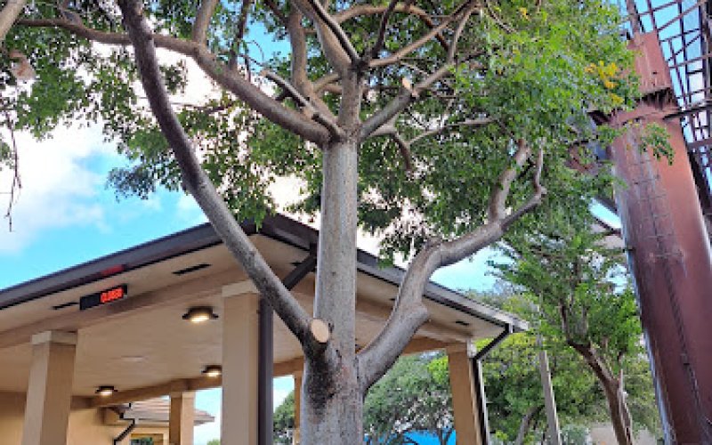 High Standards Tree Care LLC