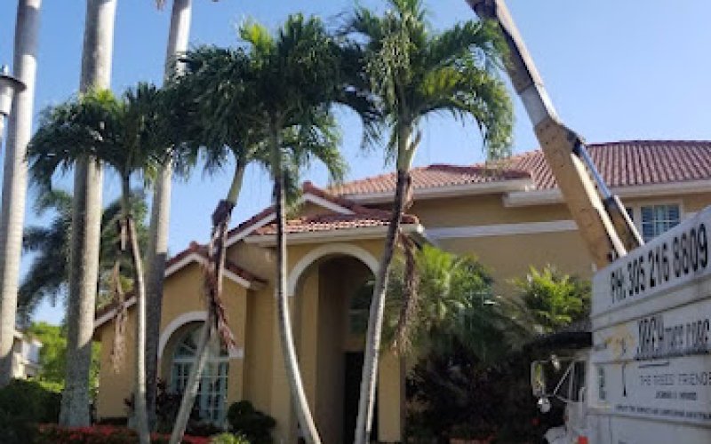 Jireh Tree Care LLC
