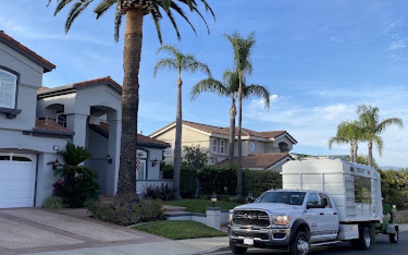 South Green Tree Care Inc — Tree service in Mission Viejo