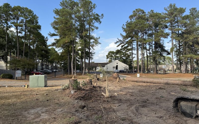 Azalea City Tree Care LLC