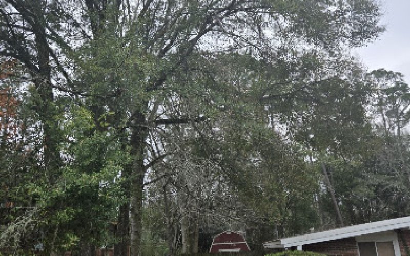West Mobile Tree Service LLC.