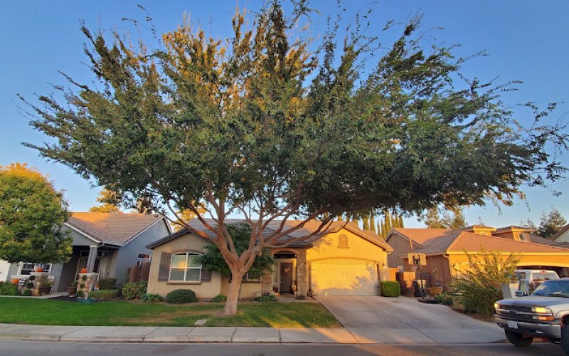 Mackman's Tree Care