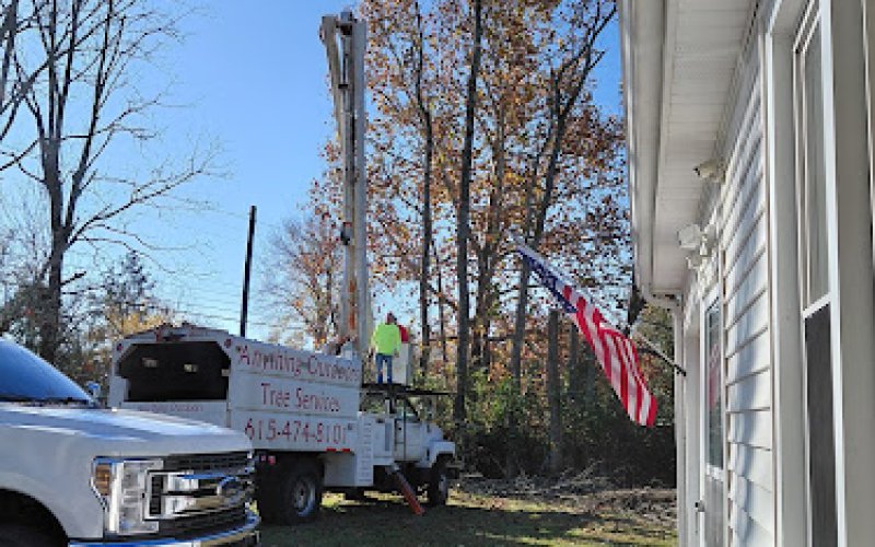 ANYTHING OUTDOORS TREE SERVICE — Tree service in Murfreesboro