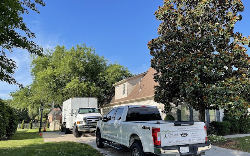 Ramos Tree Care LLC — Tree service in Murfreesboro