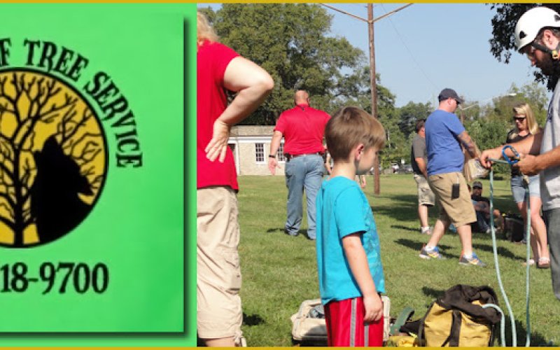 Timber Wolf Tree Service — Tree service in Murfreesboro