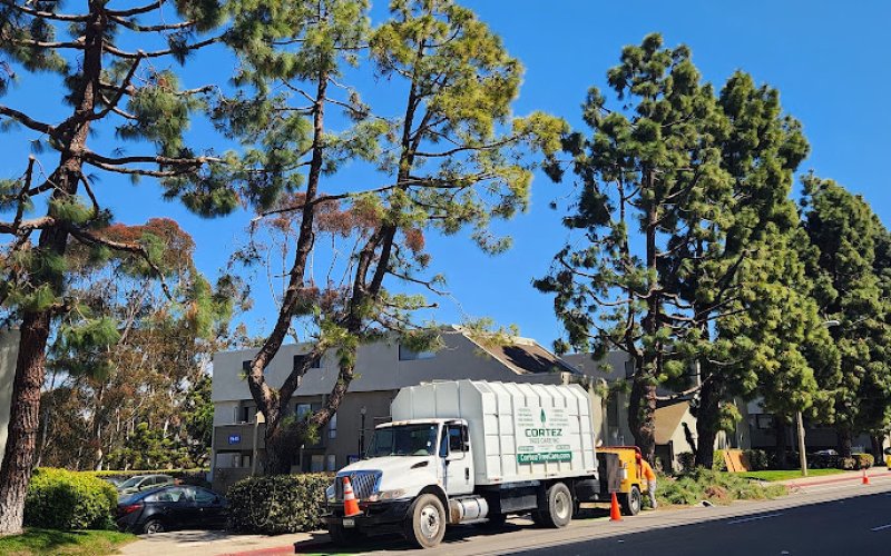 Cortez Tree Care Inc