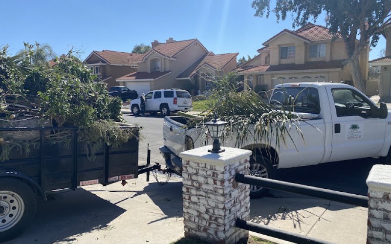 Robles Tree Service and Landscaping