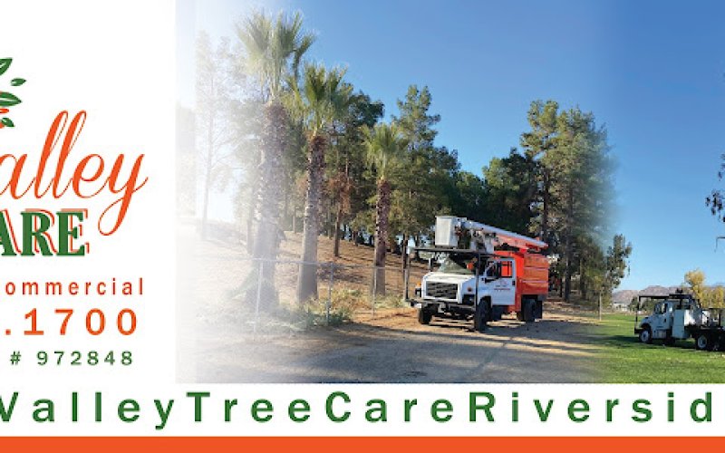 Valley Tree Care Inc