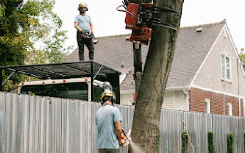 Chop Nashville — Tree service in Nashville