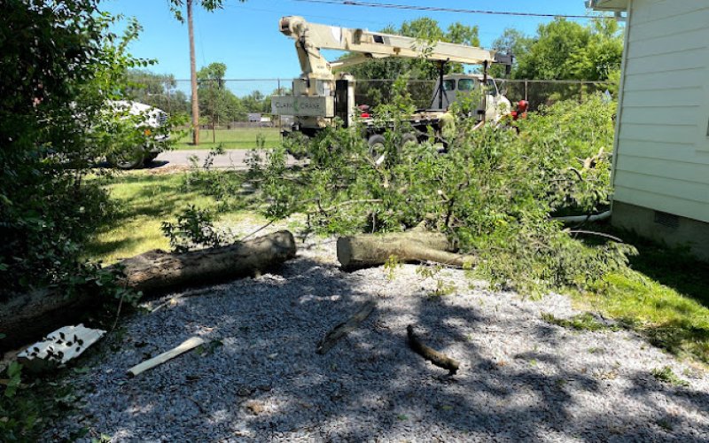 Moore & Smith Tree Service — Tree service in Nashville