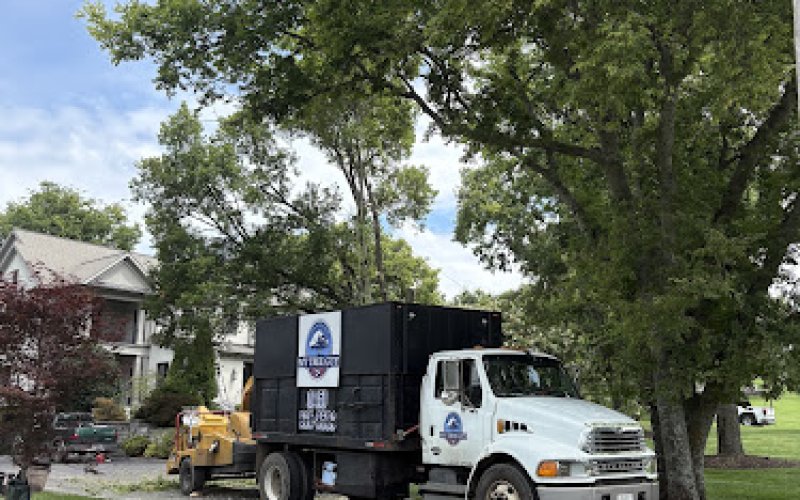 My Tree Guy — Tree service in Nashville