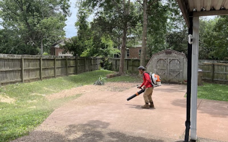 Sky Tree Services LLC — Tree service in Nashville