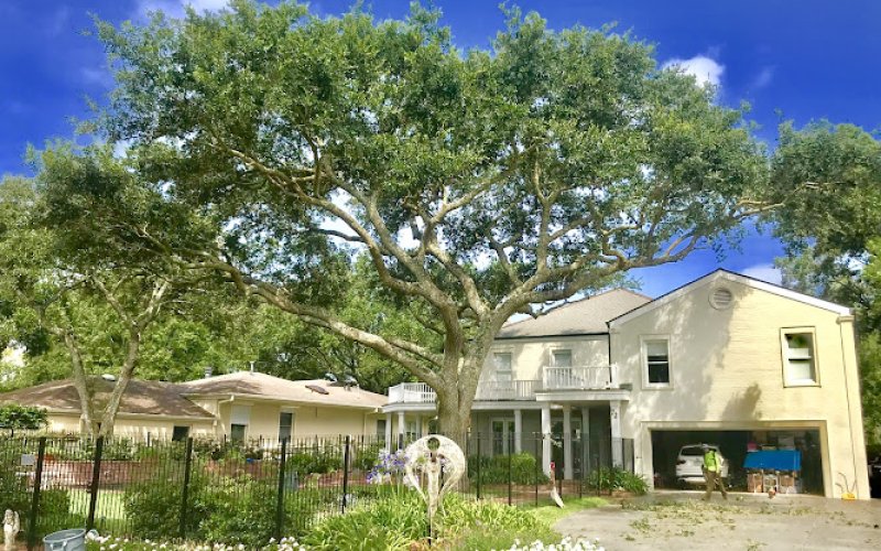 A Perfect Cut Tree Service