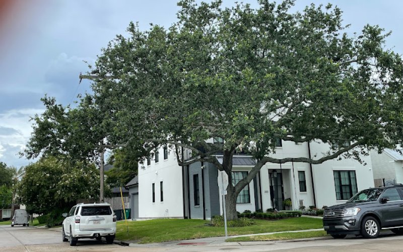 Lakeview Lumberjacks Tree Service