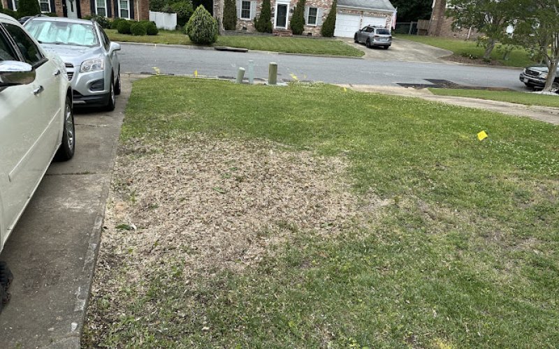 Anthonys Tree Service — Tree service in Newport News
