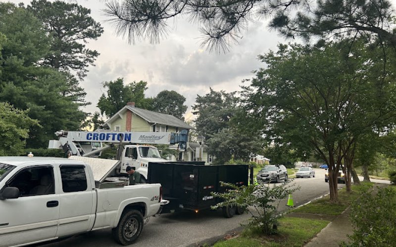 The Tree Masters — Tree service in Newport News