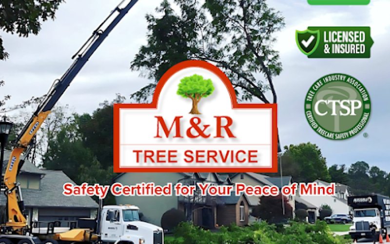 M & R Tree Service