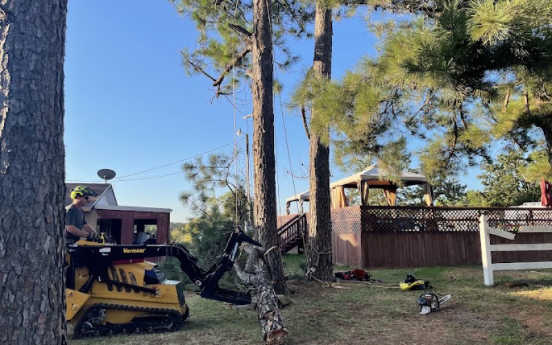 Heritage Tree Care LLC