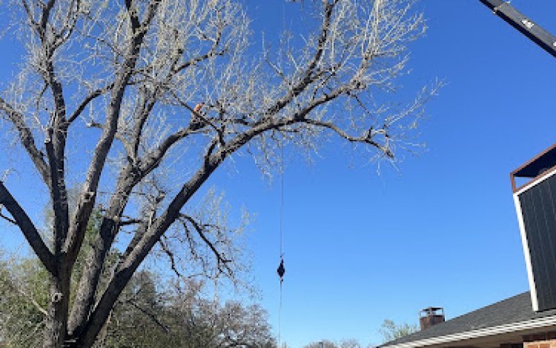 Tip Top Crane and Tree Service