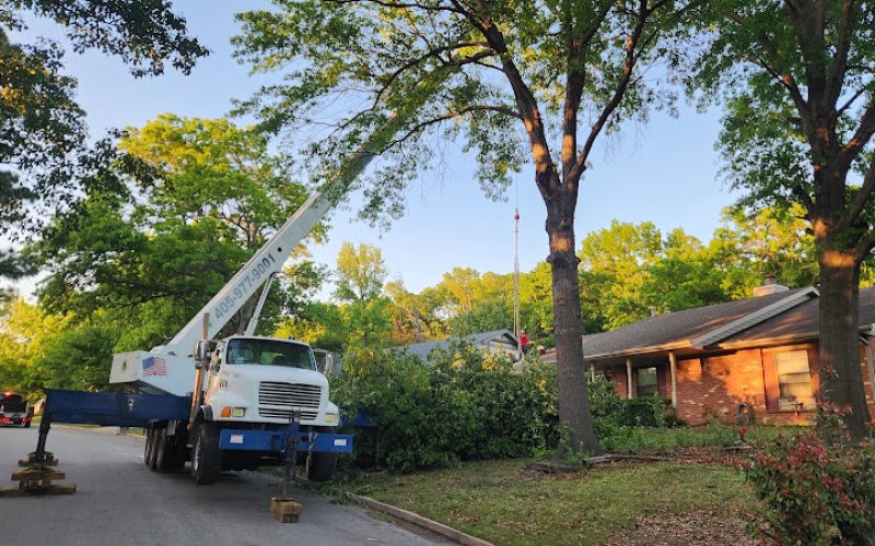 XTreem Tree Services