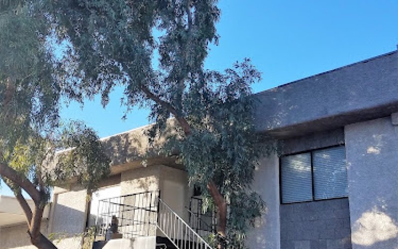AAA-SAGO'S TREE SERVICE COMPLETE LANDSCAPE SERVICES